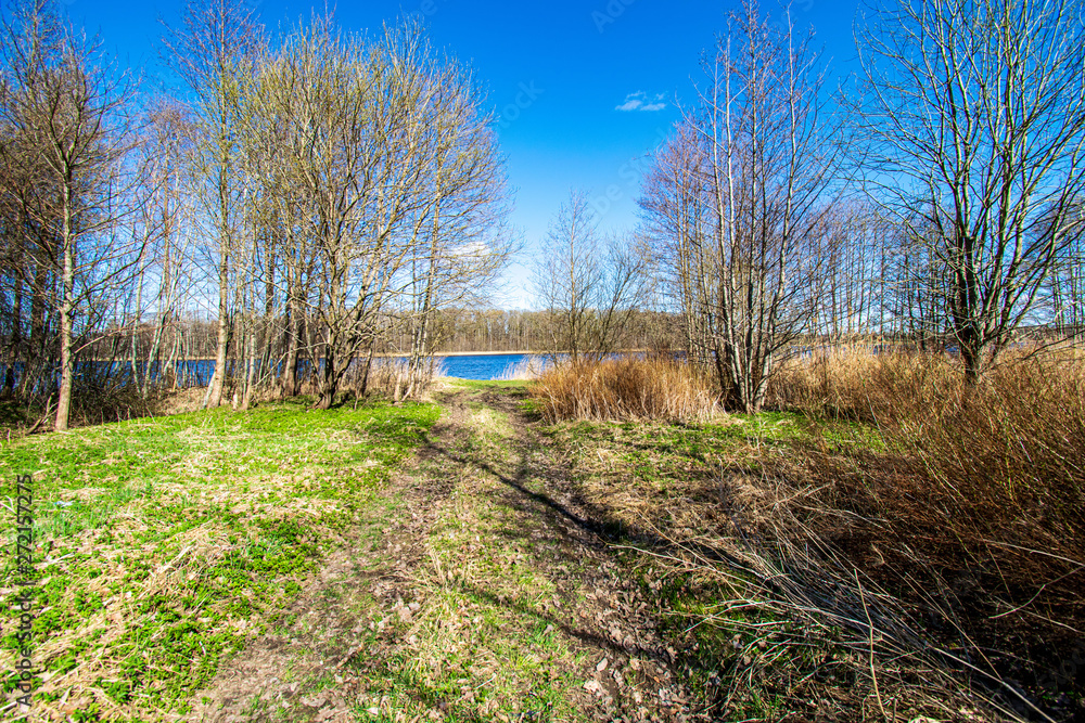 spring by the lake with green foliage grass in meadow and blue water spring by the lake with green foliage grass in meadow and blue water