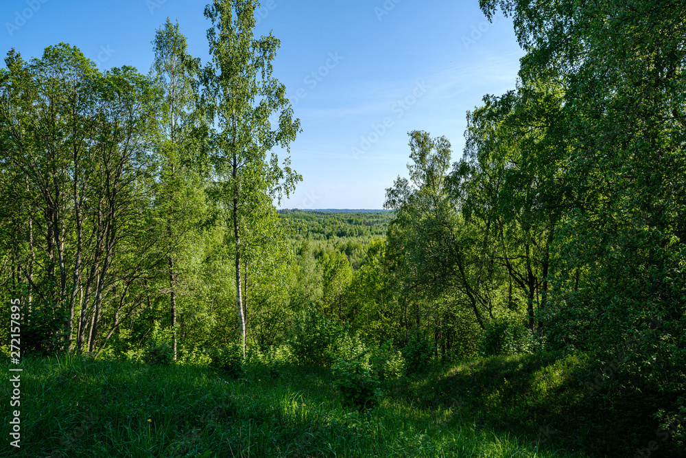 green countryside scenery with green meadows and trees in summer green countryside scenery with green meadows and trees in summer