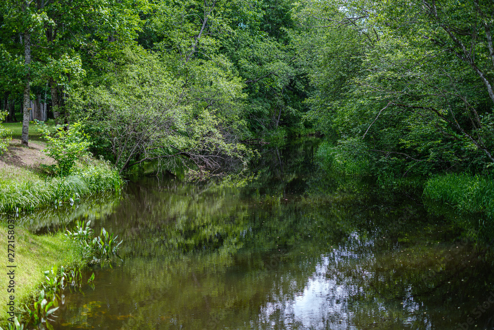 river in summer green shores with tree reflections in water river in summer green shores with tree reflections in water