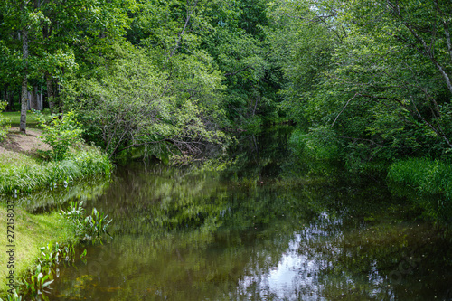 river in summer green shores with tree reflections in water