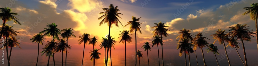 palm trees at sunset, panorama of the beach with palm trees at sunrise