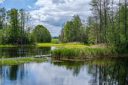 river in summer green shores with tree reflections in water