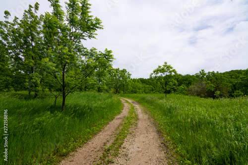 Dirt road through the countryside