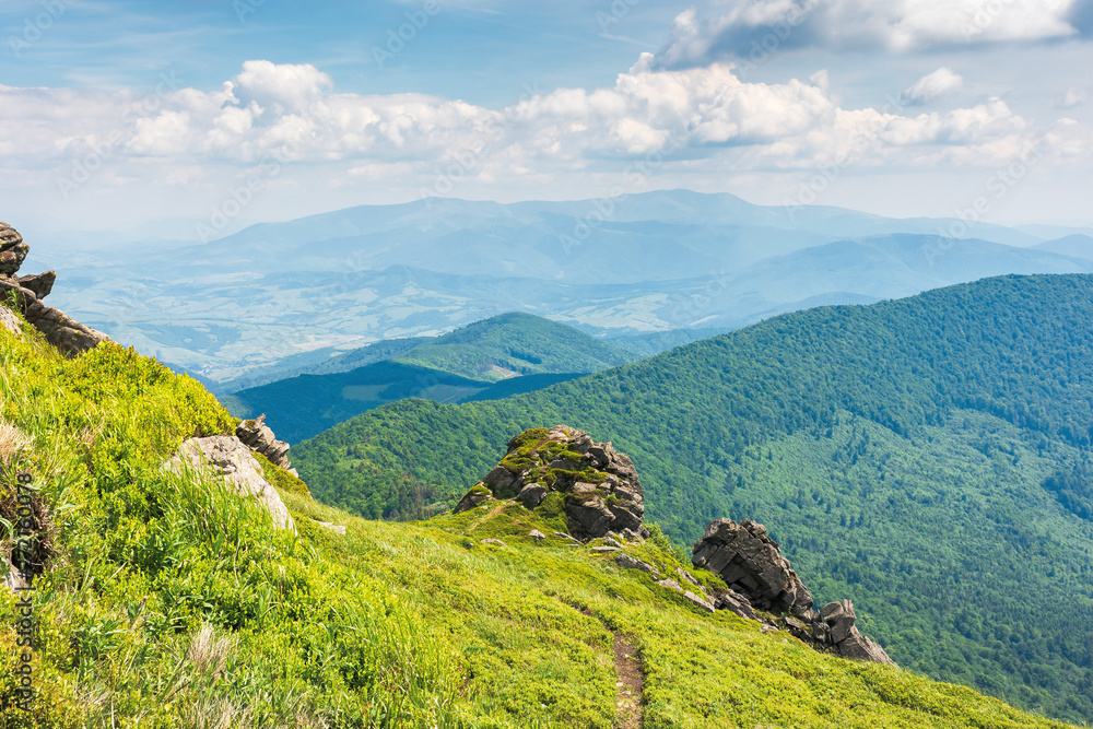 Fototapeta premium amazing view from the top of a mountain. path through the meadow with huge boulders on the edge. summer landscape with hills of the ridge rolling down in to the mountain. borzhava range on the horizon