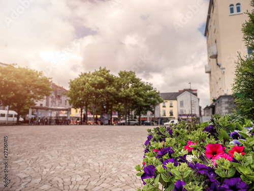 Flower bed in town square, Sun flare, selective focus, Town decoration concept.