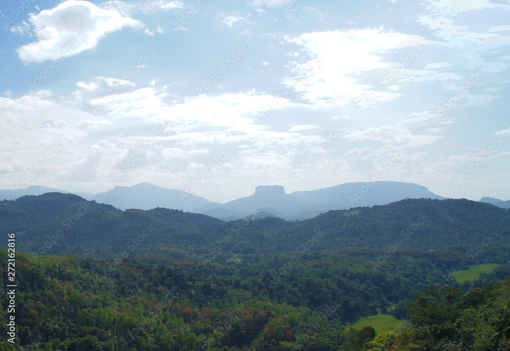 Obraz premium Mountain green landscape with beautiful views of the tropical island of Sri Lanka in summer.