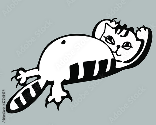 lazy fat and striped cat lies belly up