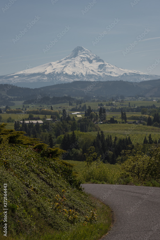 Scenic road views of Mt Hood over the Hood River Valley in Oregon