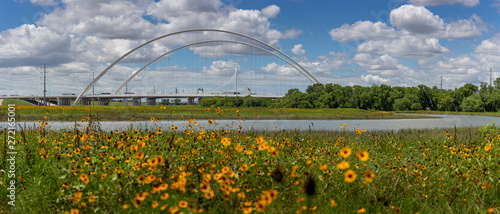 Margaret McDermott Bridge and Wildflowers in Dallas Texas