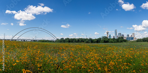 Dallas Skyline and Wild Flowers blue sky Dallas, Texas