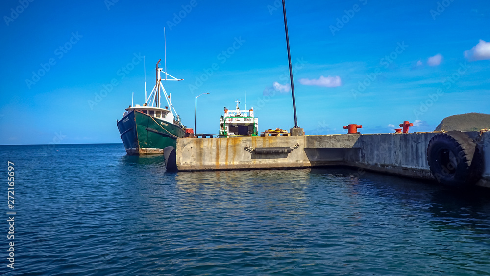 Fototapeta premium snorkelling Views around the caribbean island of Dominica West indies