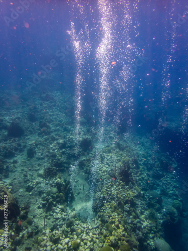 snorkelling Views around the caribbean island of Dominica West indies