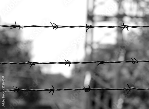barbed wire in black and white and the background blurred photo