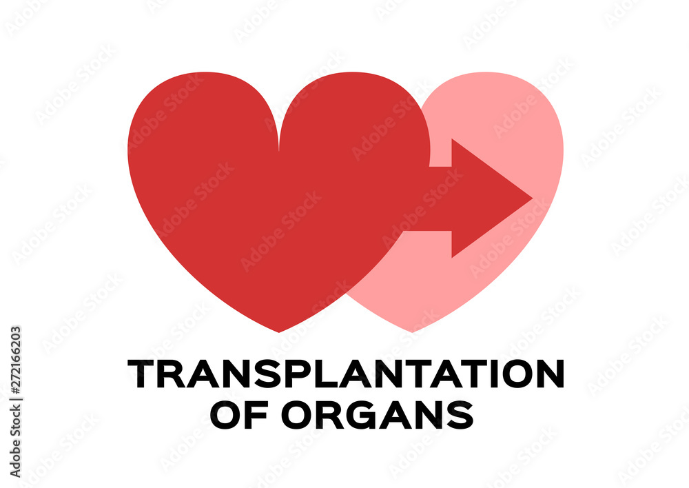 organ transplant and donation vector icon / heart shape organ transplant and donation vector icon / heart shape