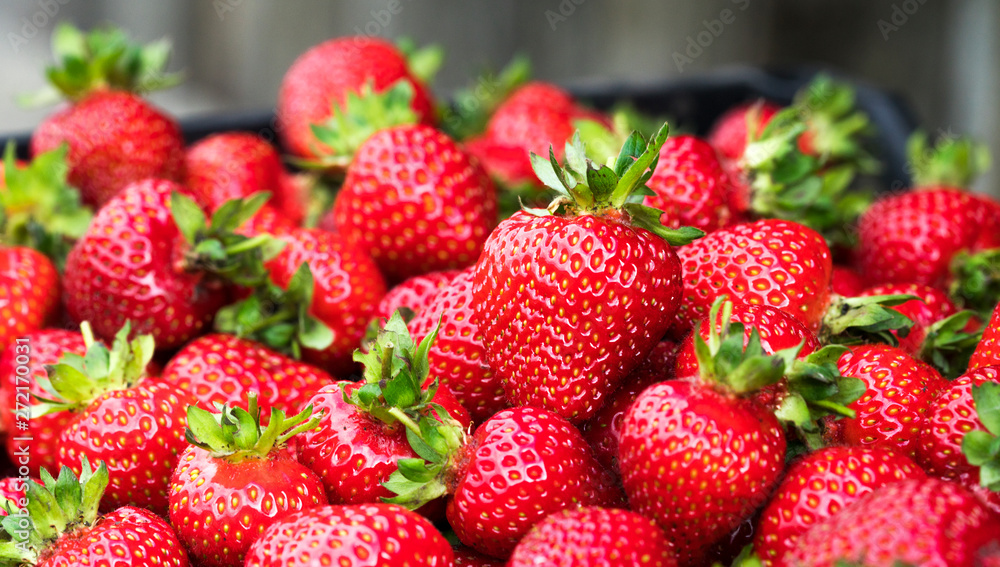 Background of ripe strawberries. Close up. Background of ripe strawberries. Close up.