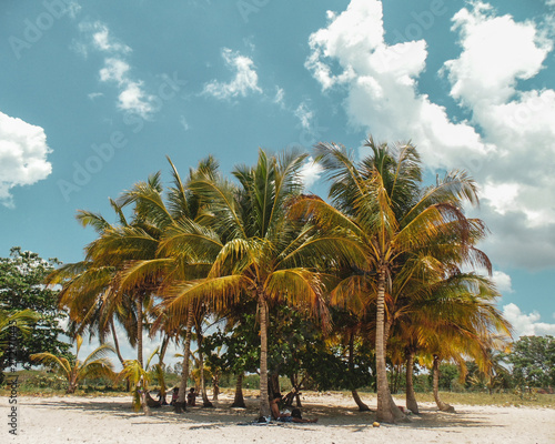 Sabang Beach with palm trees in Puerto Princesa  Philippines 