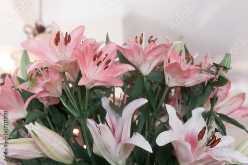 Lillies