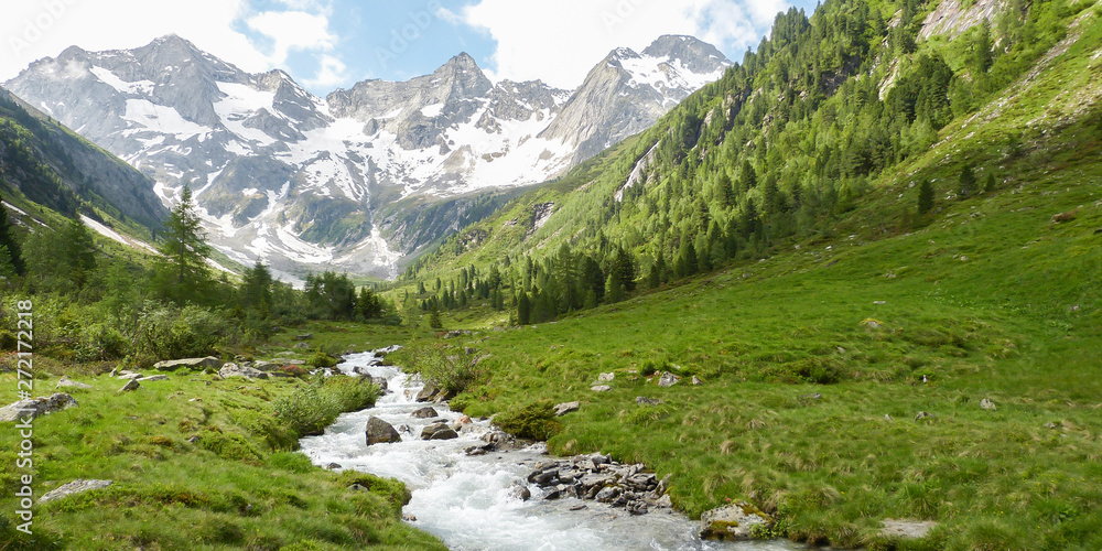 Gerbirgsfluss durch eine grüne Natur in den Alpen