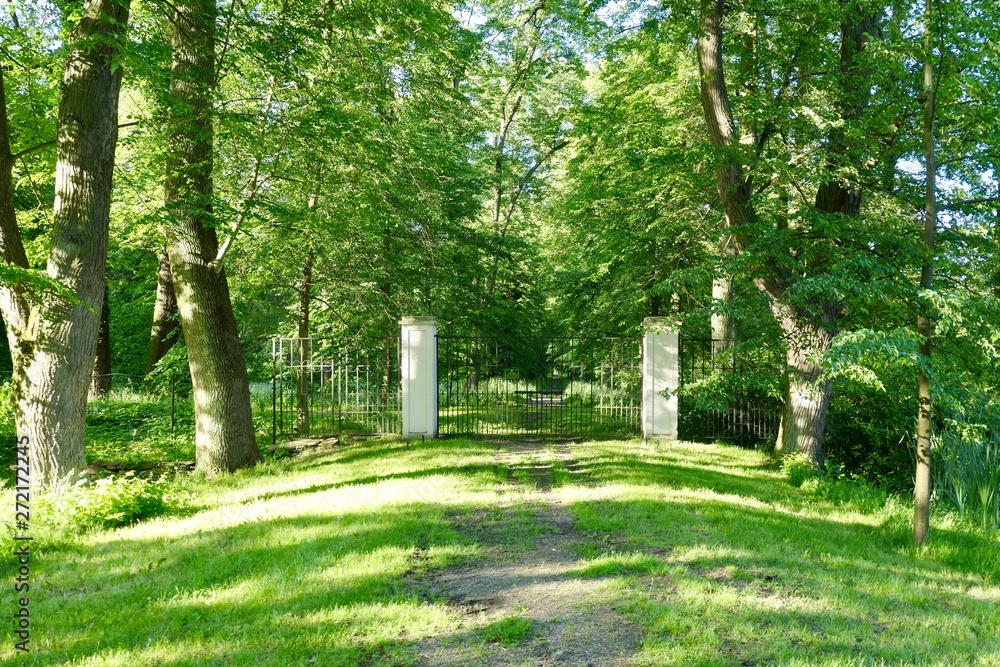 Forged gate in the castle park