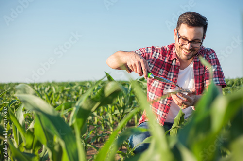 Photography Smiling happy young agronomist or farmer wearing red checkered shirt taking and analyzing soil samples on a corn farm