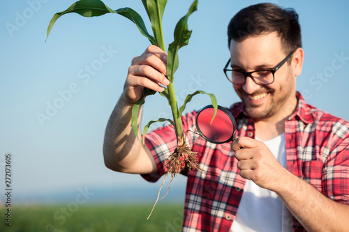 Happy smiling young agronomist or farmer examining young corn plant root under a magnifying glass, looking for parasites. Organic farming and healthy food production