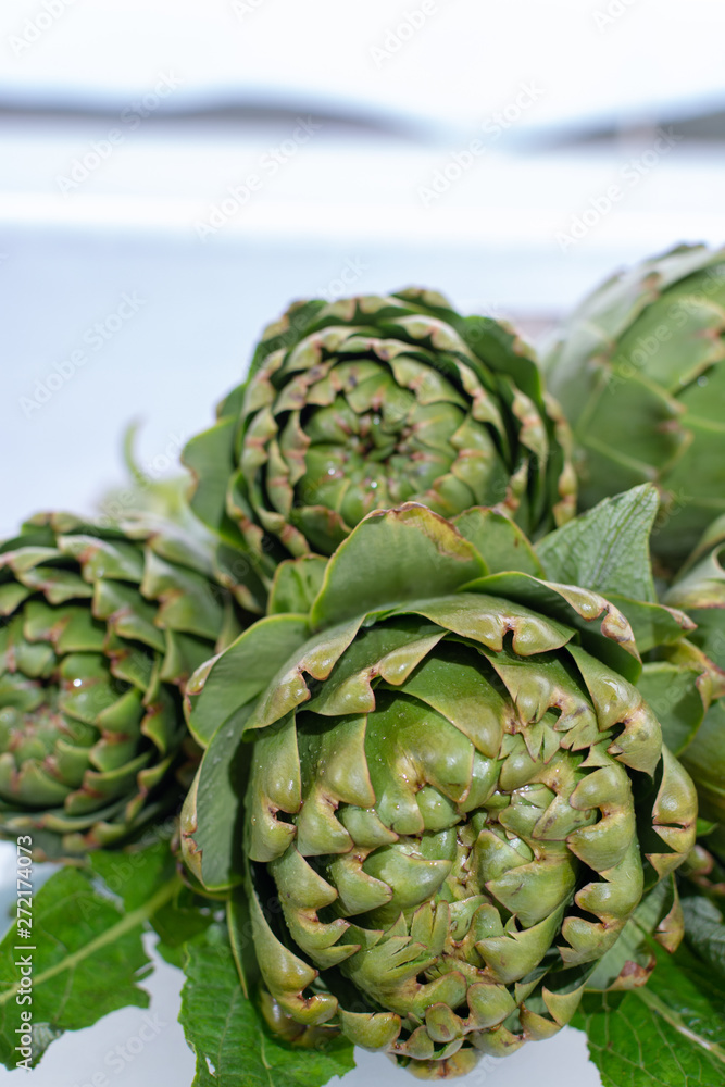 Bunch of fresh raw artichokes heads from artichoke plantation in Argolida, Greece ready to cook Bunch of fresh raw artichokes heads from artichoke plantation in Argolida, Greece ready to cook