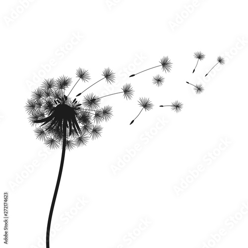 Abstract black dandelion, flying seeds of dandelion - vector for stock