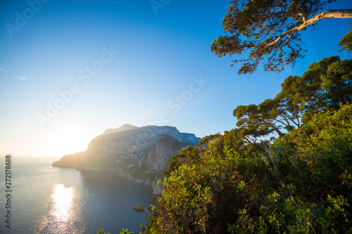 Golden light glowing through pine tree silhouettes as the sun sets behind a scenic panoramic view of the iconic cliffs of the island of Capri, near Naples, Italy