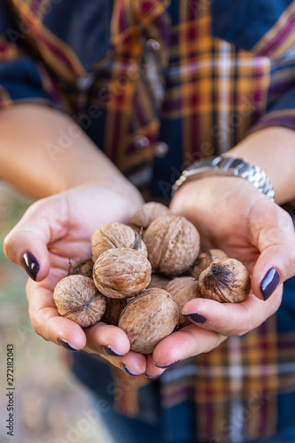 Nuts collected in summer