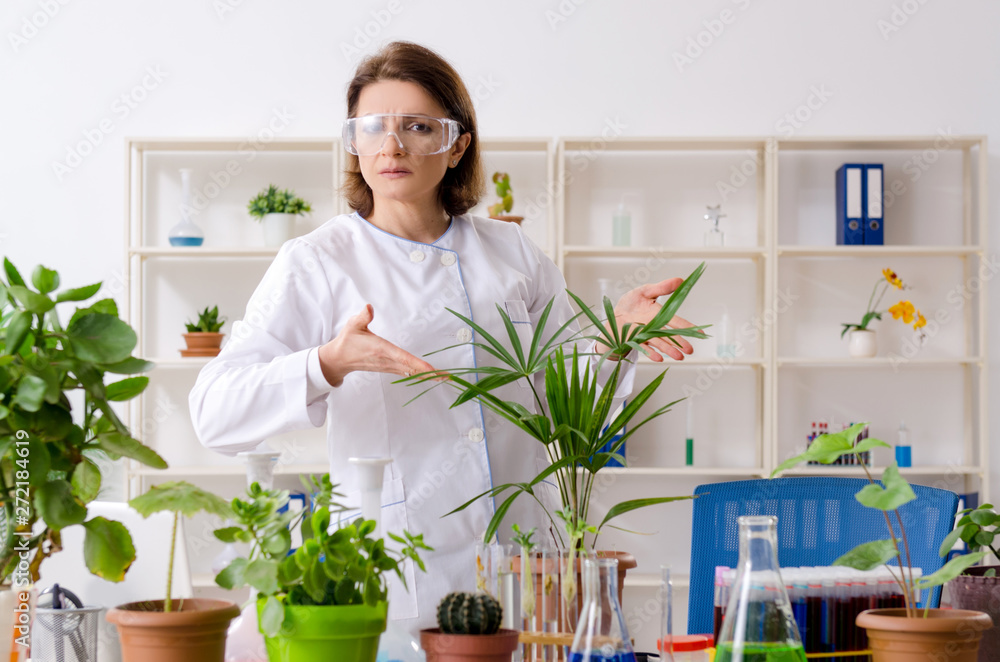 Old female biotechnology chemist working in the lab Old female biotechnology chemist working in the lab