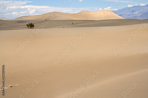 Mesquite Flat Sand Dunes  south california  death valley