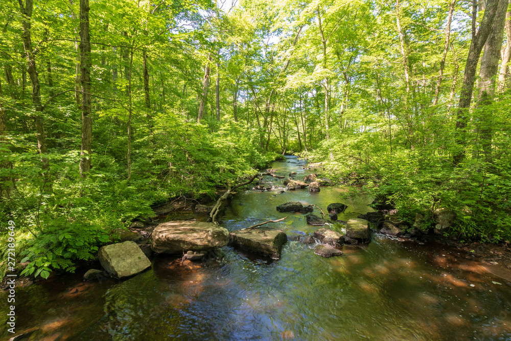 River flowing by rocks as it meanders through the woods River flowing by rocks as it meanders through the woods