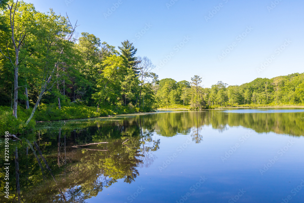 Trees reflected in the calm water of Gay City Pond in Hebron, Connecticut
