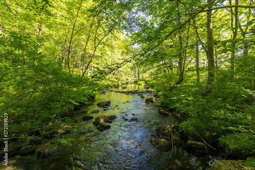 Small river flowing toward the sunlight