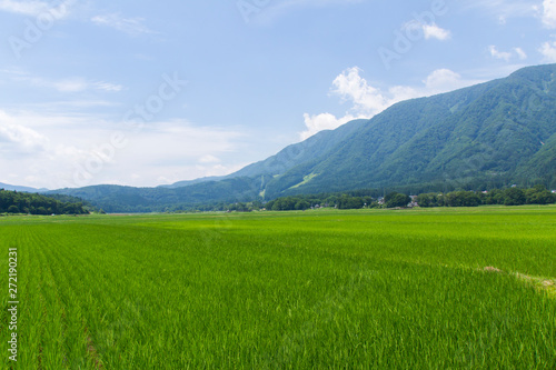 長野県白馬村の風景
