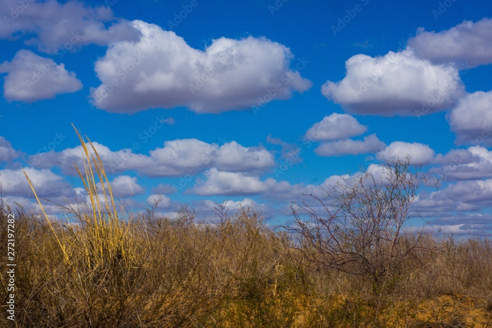 The extraordinary landscape of the steppes of Kalmykia. Over the boundless steppe float bizarre Cumulus clouds. The extraordinary landscape of the steppes of Kalmykia. Over the boundless steppe float bizarre Cumulus clouds.