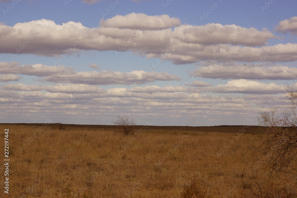 The extraordinary landscape of the steppes of Kalmykia. Over the boundless steppe float bizarre Cumulus clouds.