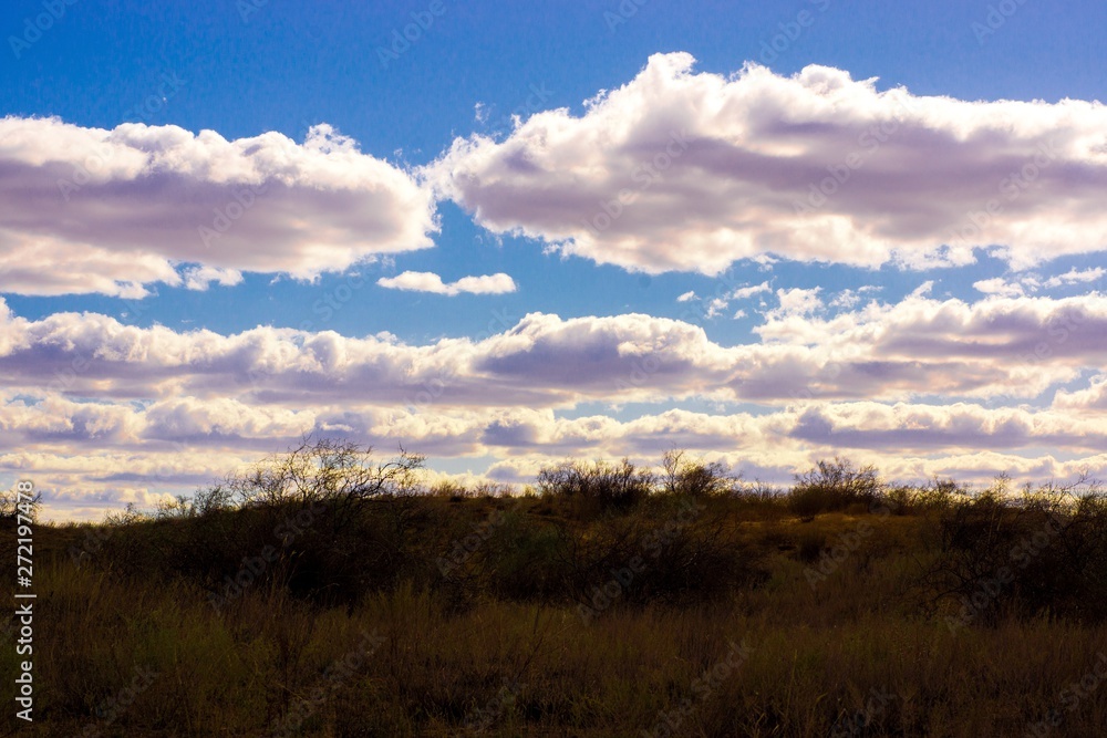 The extraordinary landscape of the steppes of Kalmykia. Over the boundless steppe float bizarre Cumulus clouds. The extraordinary landscape of the steppes of Kalmykia. Over the boundless steppe float bizarre Cumulus clouds.