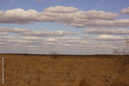 The extraordinary landscape of the steppes of Kalmykia. Over the boundless steppe float bizarre Cumulus clouds.