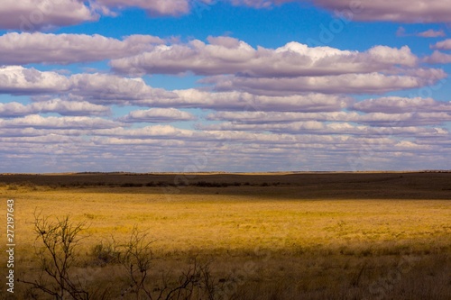 The extraordinary landscape of the steppes of Kalmykia. Over the boundless steppe float bizarre Cumulus clouds.