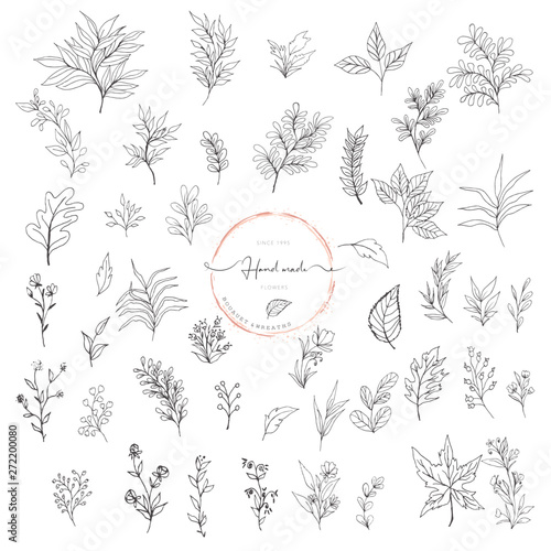 Hand Drawn Leaf Wreath Logo Design