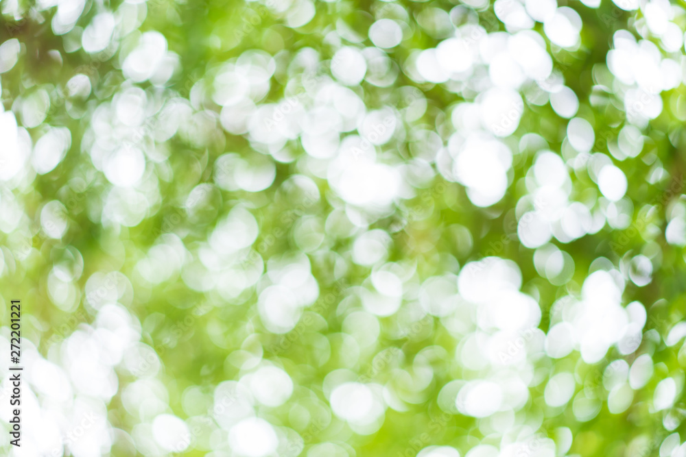 Obraz premium Abstract green nature background. Blurred green bokeh natural texture.