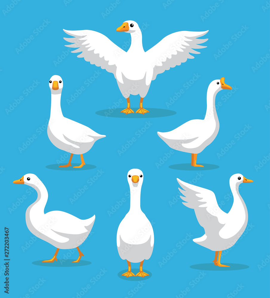 White Goose Poses Cartoon Vector Illustration White Goose Poses Cartoon Vector Illustration