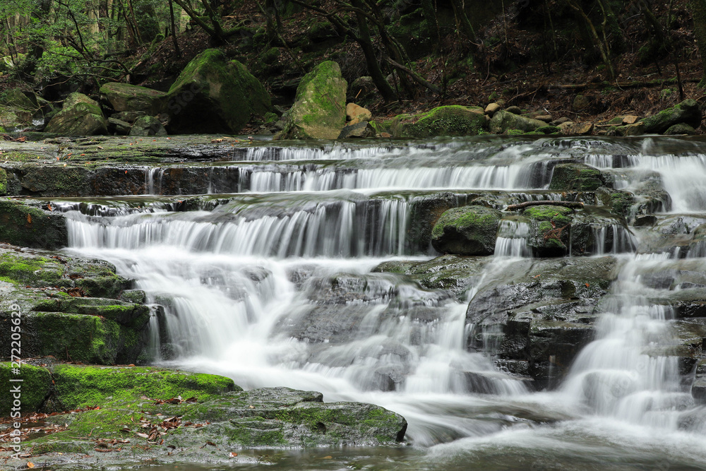 Obraz premium 赤目四十八滝