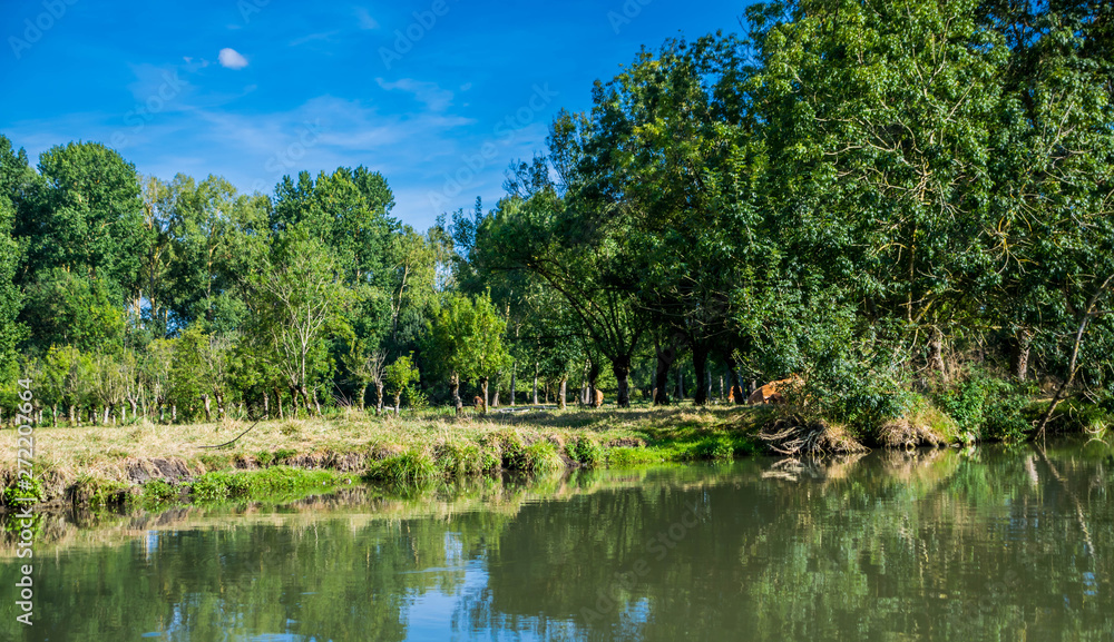Fototapeta premium Marais Poitevin