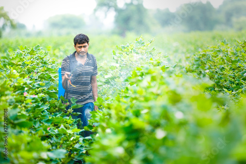 indian farmer spraying pesticide at cotton field