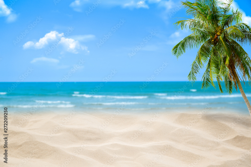 Beach with blurry blue ocean and sky,palm tree background ,Summer Concept . Beach with blurry blue ocean and sky,palm tree background ,Summer Concept .