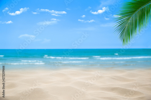 Beach with blurry blue ocean and sky,palm tree background ,Summer Concept . © A Stockphoto