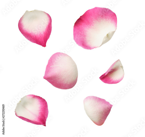 Set of pink rose petals