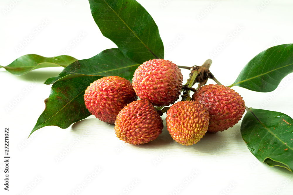 A branch of litchi with green leaves on white background A branch of litchi with green leaves on white background